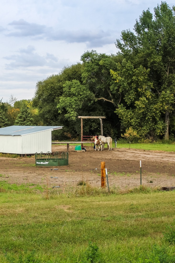 Sandhills Stable facility